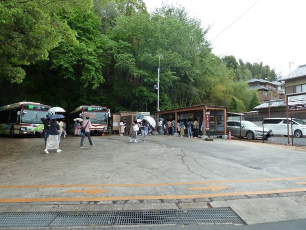 苔寺と鈴虫寺のバス停